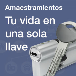 Amaestramientos