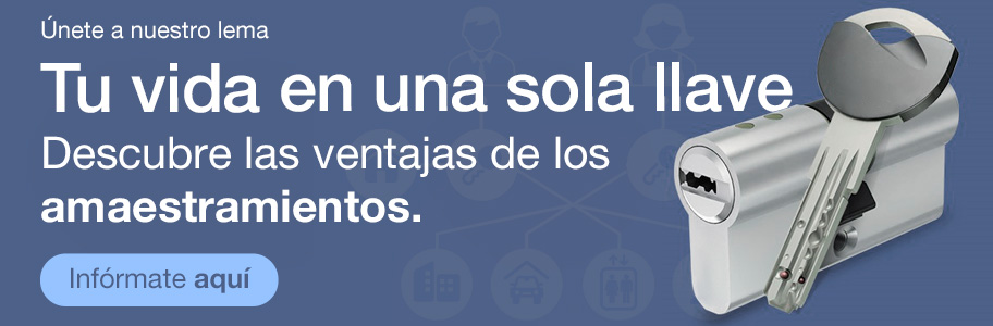 Amaestramientos e igualamientos de bombillos